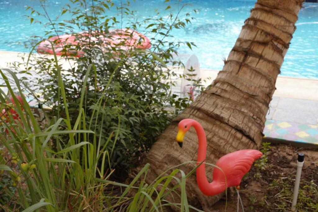 B-Lbait Yanbu Villa Garden ภายนอก รูปภาพ